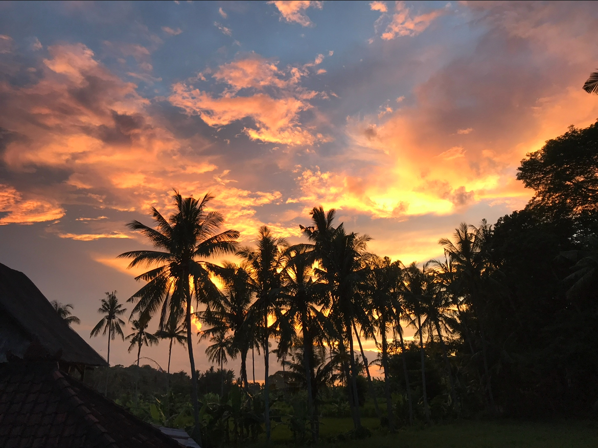 Tropical Paradise, Koh Phangan 