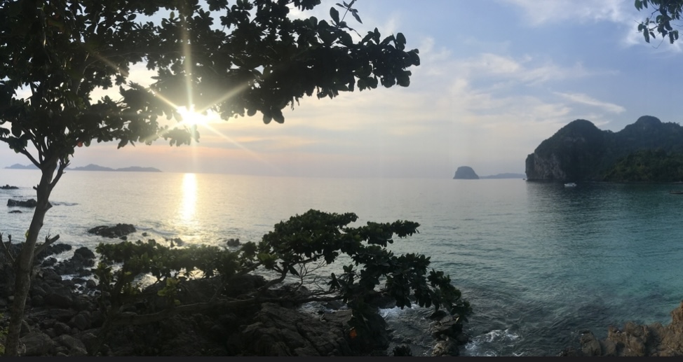 Koh Phangan ~ A Jungle Retreat Sanctuary