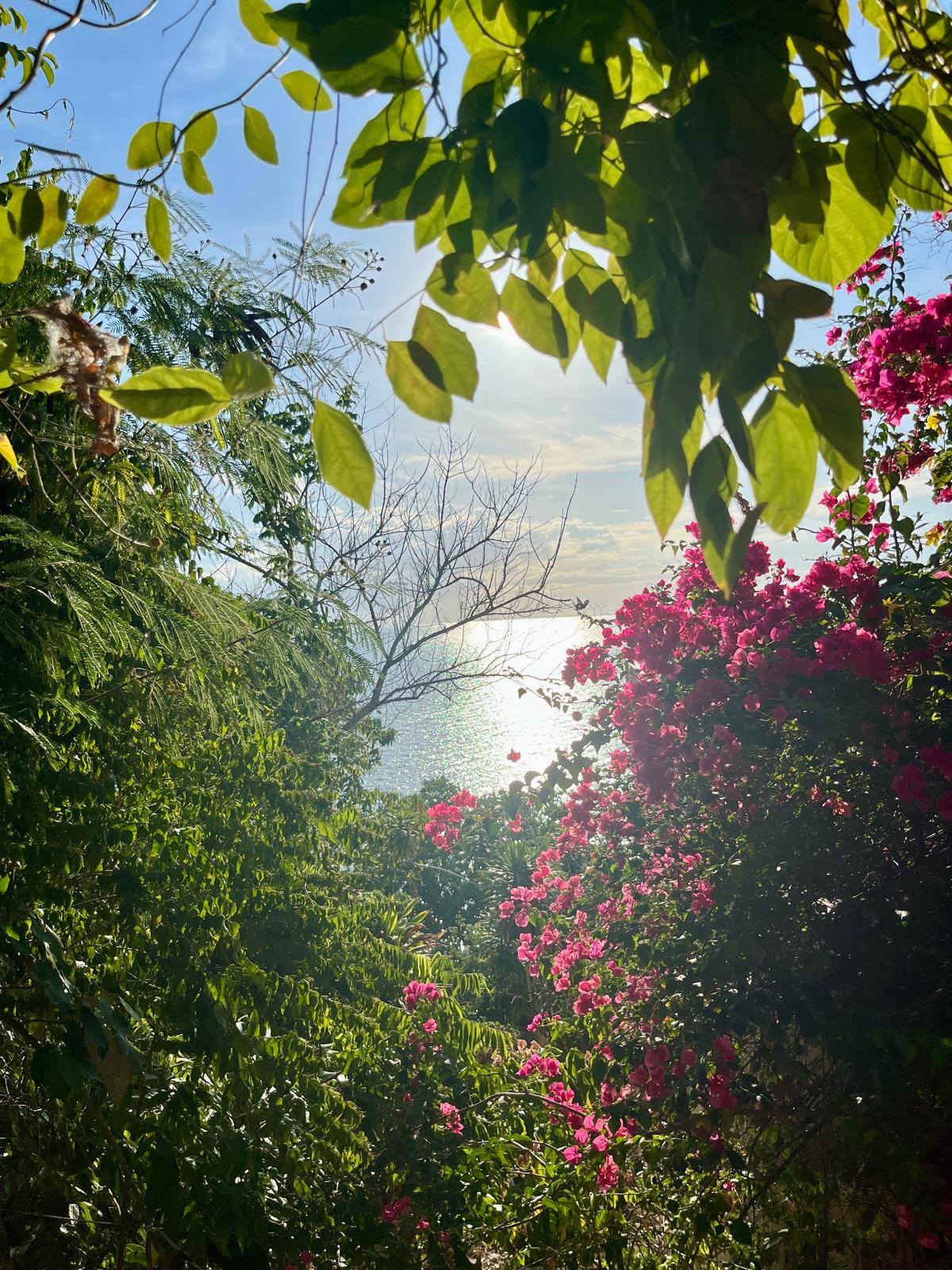 4 Day Breath, Sound & Movement Yoga Retreat 