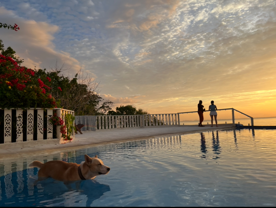 A Serenity Sanctuary, Koh Phangan 