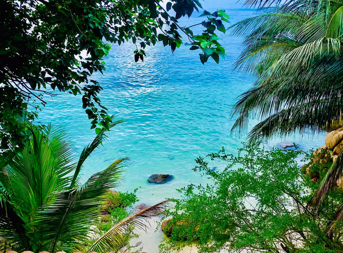 7- Day Breath Sound Movement- Koh Phangan